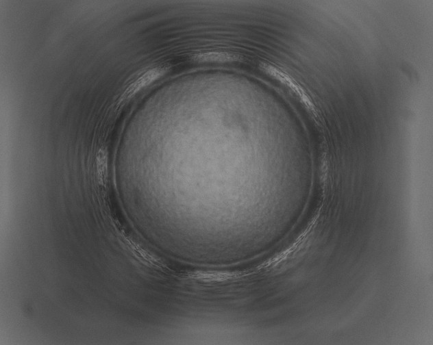 X0000116560825200912241613