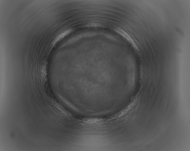 X0000116560826200912241613