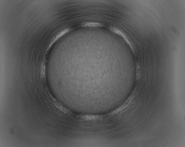 X0000116560827200912241613