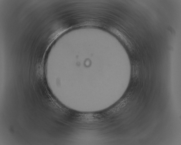 X0000116560828200912241613