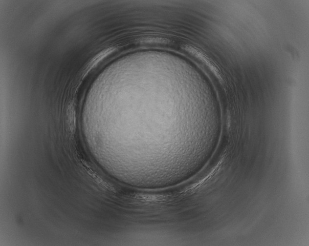 X0000116560829200912241613