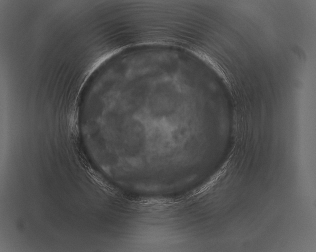 X0000116560830200912241613