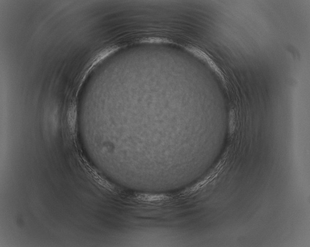 X0000116560831200912241613