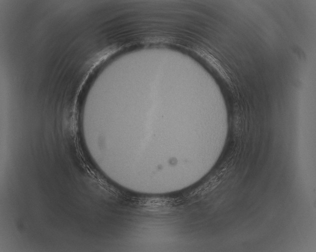 X0000116560832200912241613