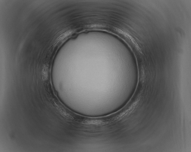 X0000116560833200912241613