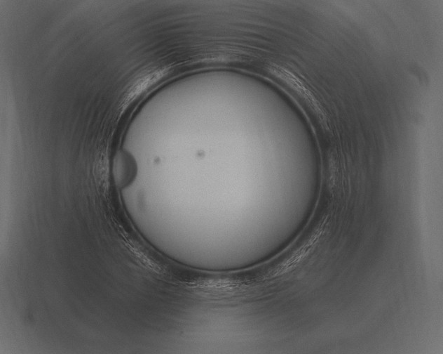 X0000116560834200912241613