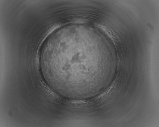 X0000116560835200912241613