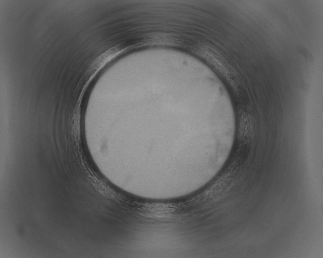 X0000116560836200912241613