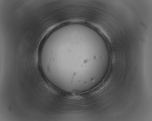 X0000116560837200912241613