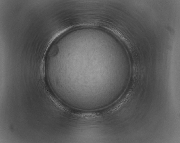 X0000116560838200912241613