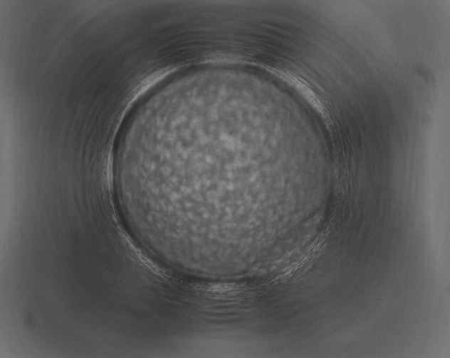 X0000116560839200912241613