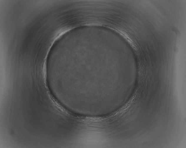 X0000116560840200912241613