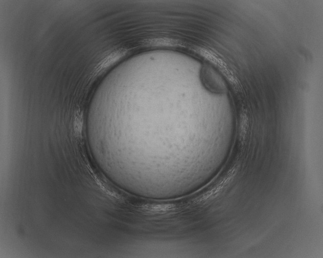 X0000116560841200912241613