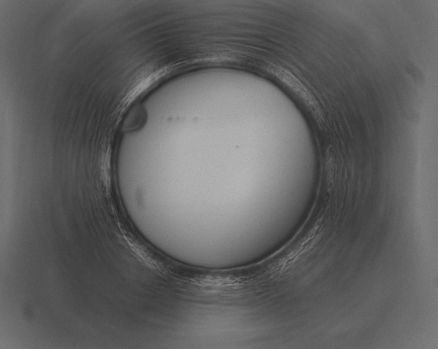 X0000116560842200912241613