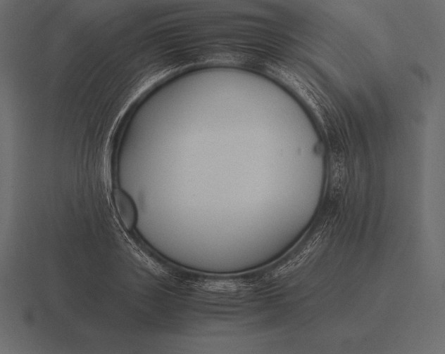 X0000116560843200912241613