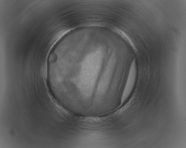 X0000116560844200912241613