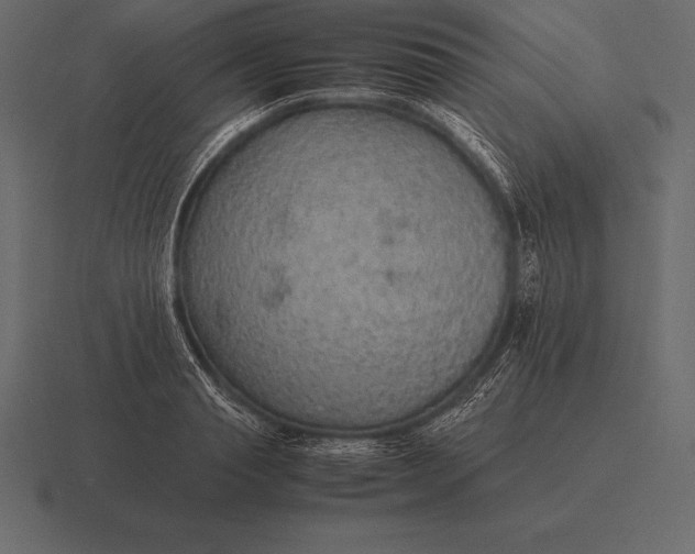 X0000116560845200912241613