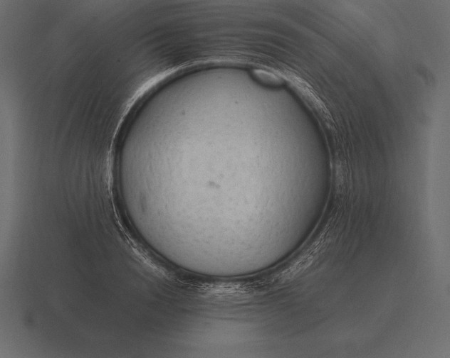 X0000116560846200912241613