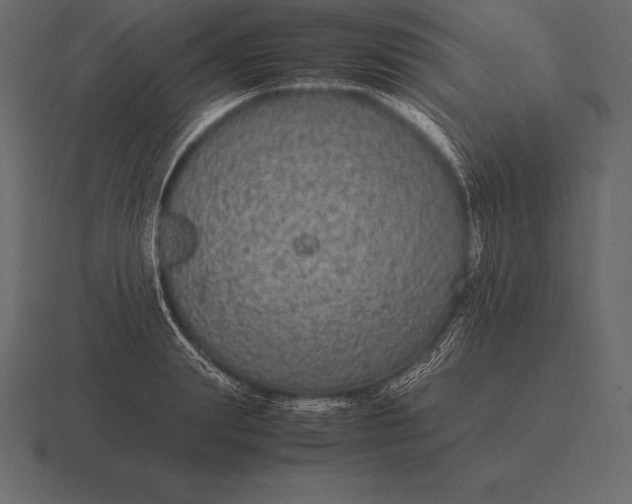 X0000116560847200912241613