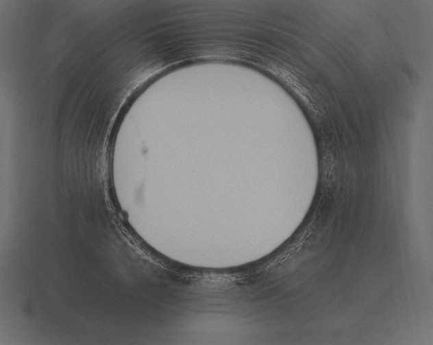 X0000116560848200912241613