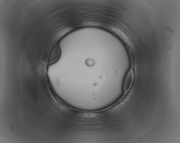 X0000116560849200912241613