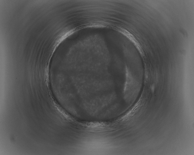 X0000116560850200912241613