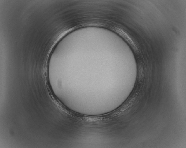 X0000116560852200912241613