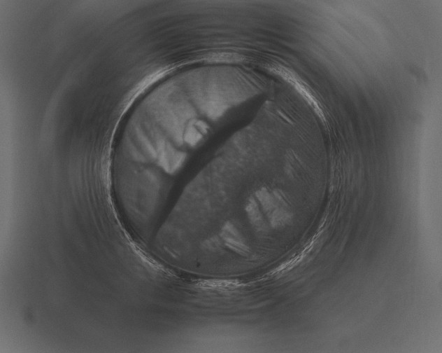 X0000116560853200912241613