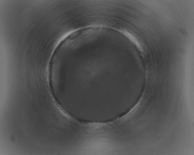 X0000116560854200912241613