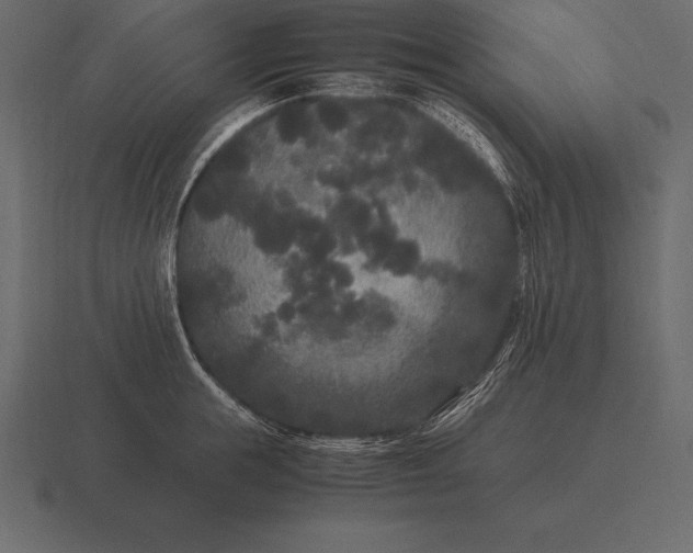 X0000116560855200912241613