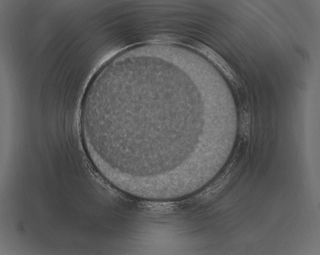 X0000116560856200912241613