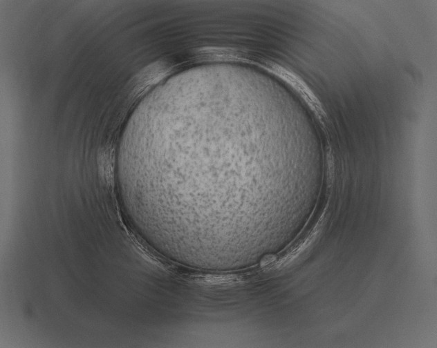 X0000116560857200912241613