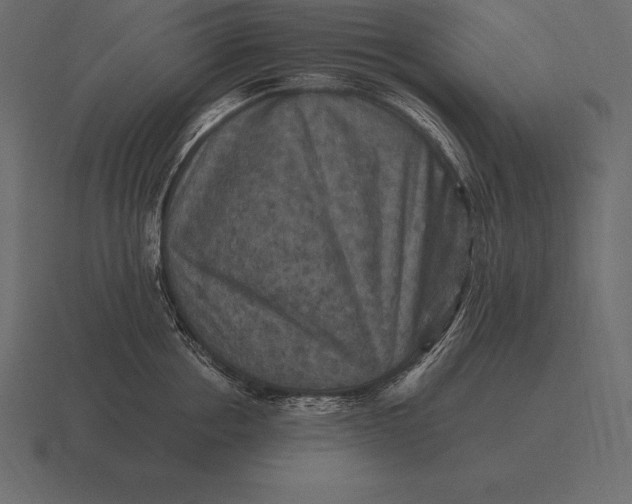 X0000116560858200912241613