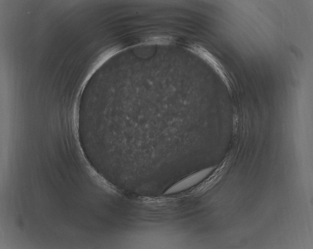 X0000116560859200912241613