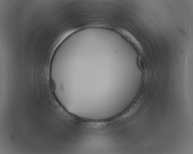 X0000116560860200912241613