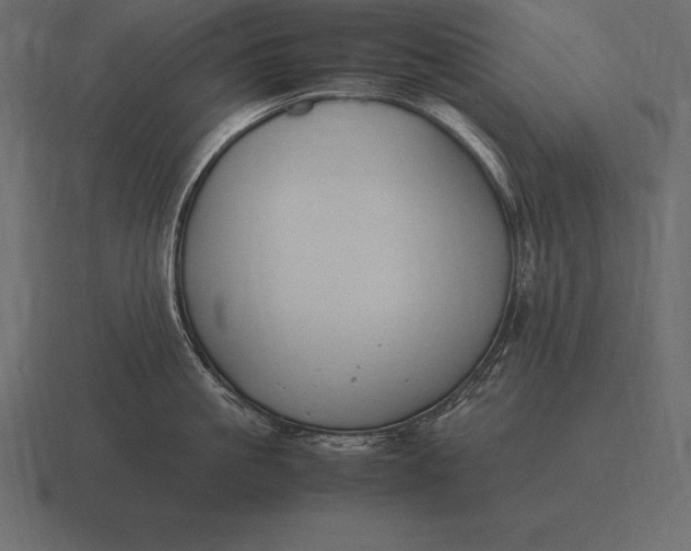 X0000116560861200912241613