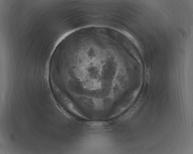 X0000116560862200912241613