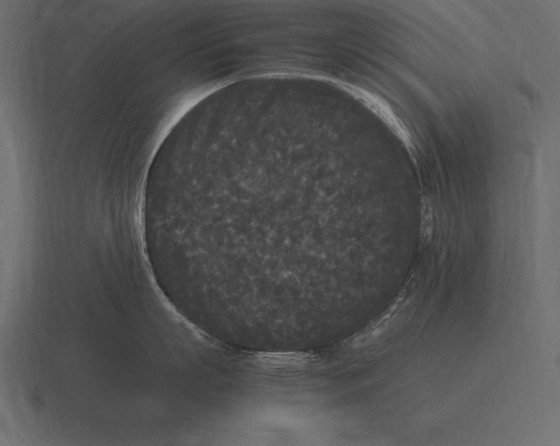 X0000116560863200912241613