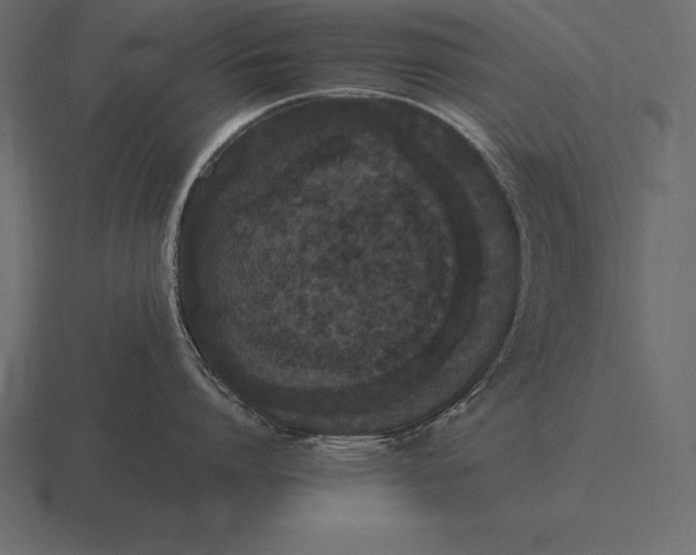 X0000116560864200912241613