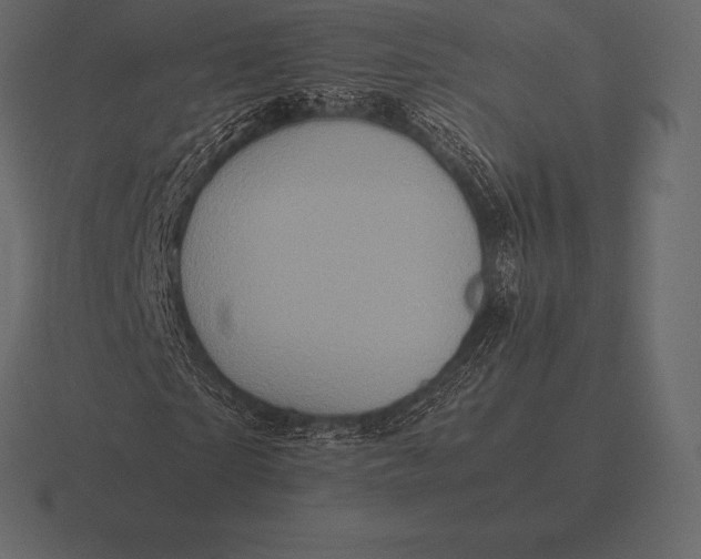 X0000116560865200912241613