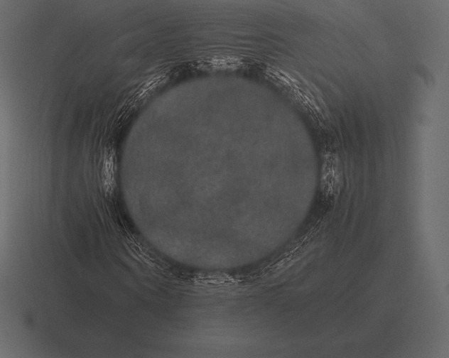 X0000116560866200912241613