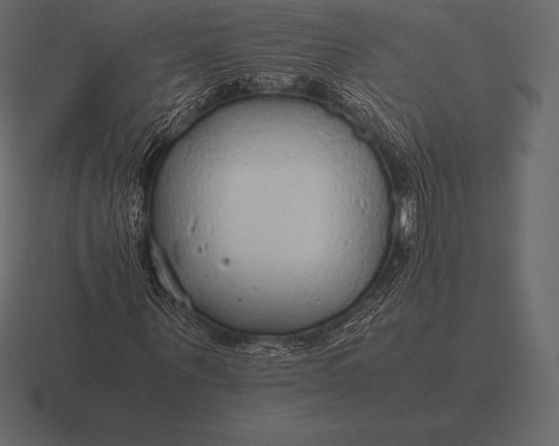 X0000116560867200912241613