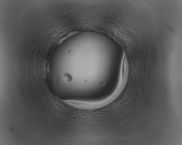 X0000116560868200912241613