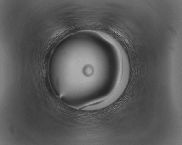 X0000116560869200912241613