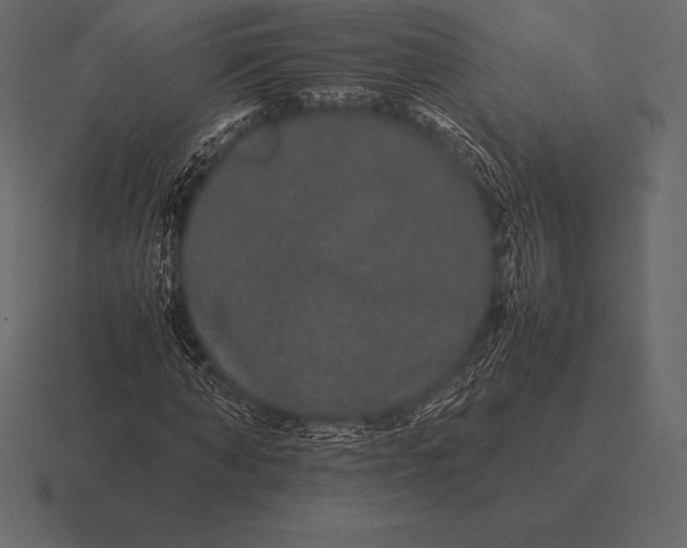 X0000116560870200912241613