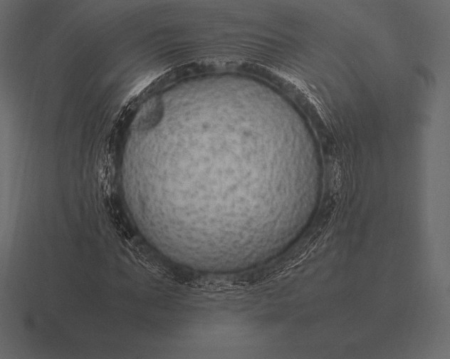 X0000116560871200912241613