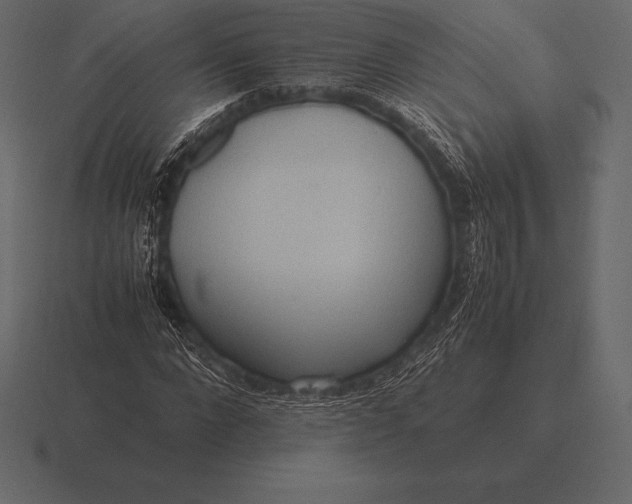 X0000116560872200912241613