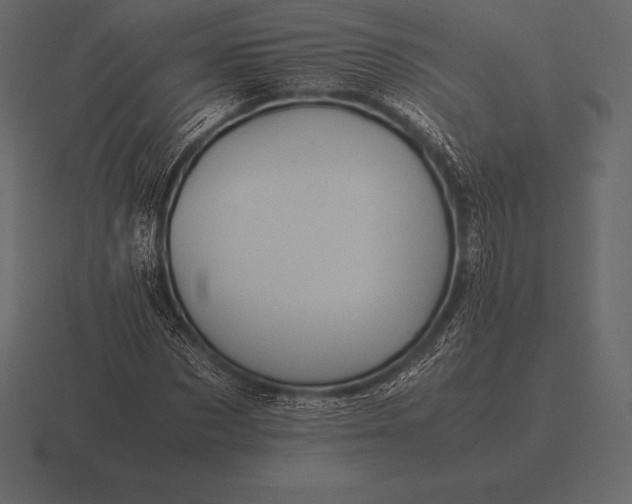 X0000116560873200912241613