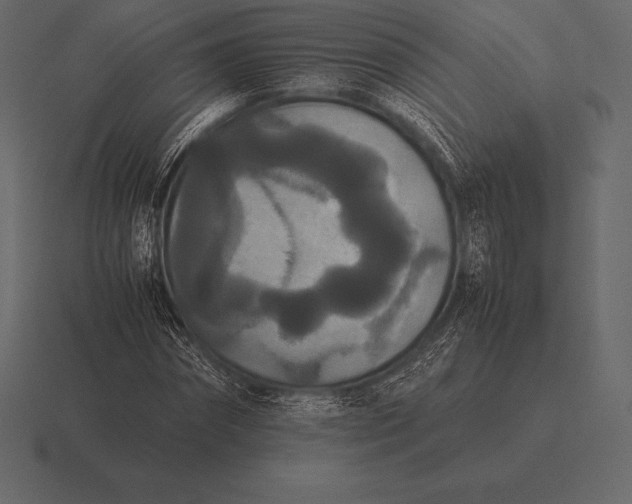 X0000116560874200912241613