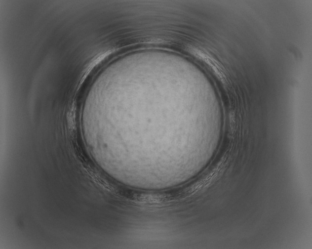 X0000116560875200912241613